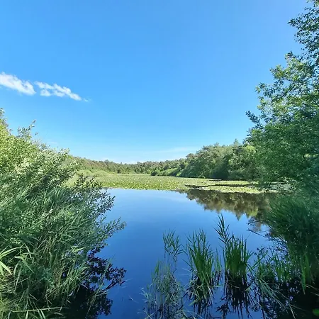 Frische Brise 0705